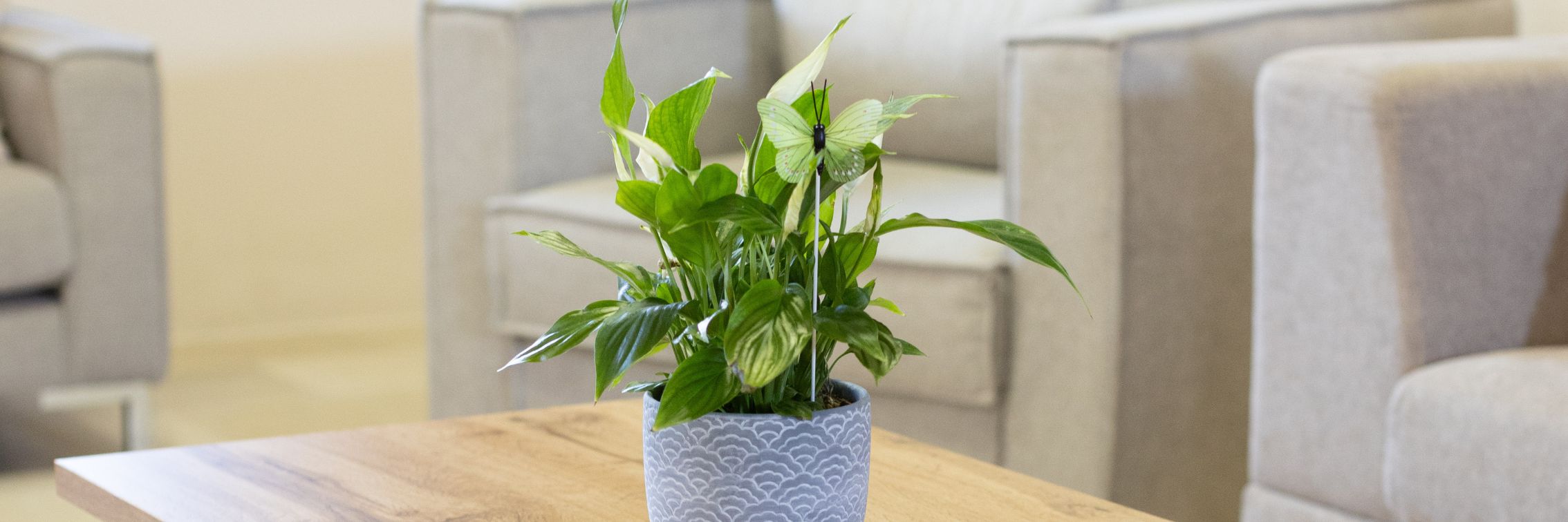 Untitled design (19)